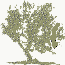 OliveTree